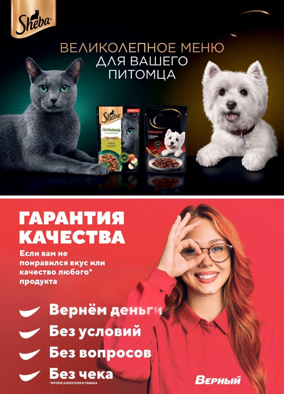 корма для животных